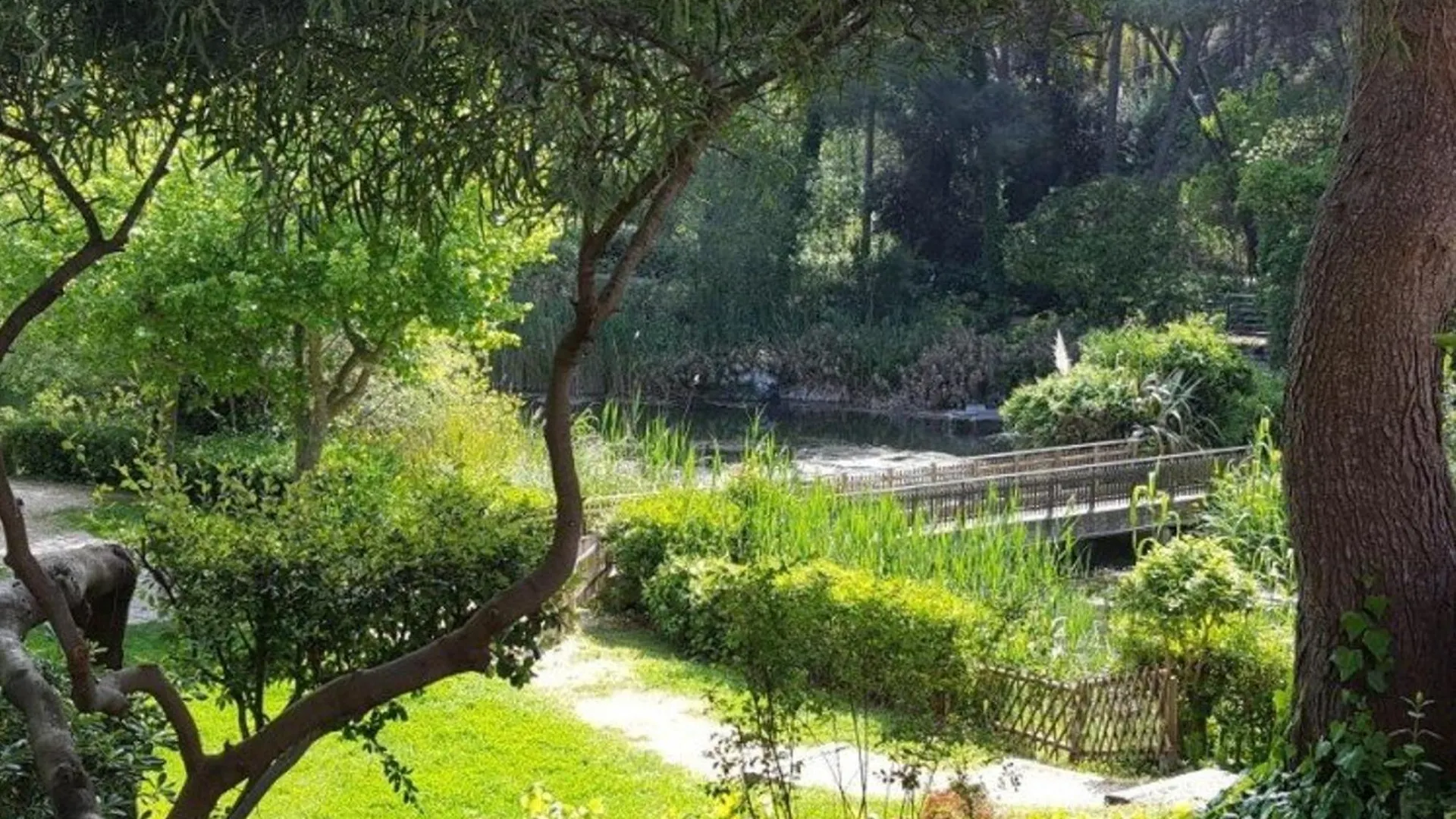 Apartment Appartement T3 - Parking - Piscine, Tennis, Proche Plages Et Commerces - Six-Fours-Les-Plages - Fr-1-316-50